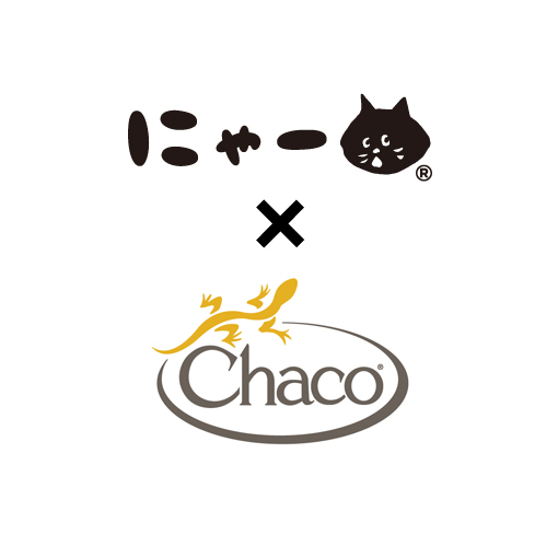 にゃー にゃー