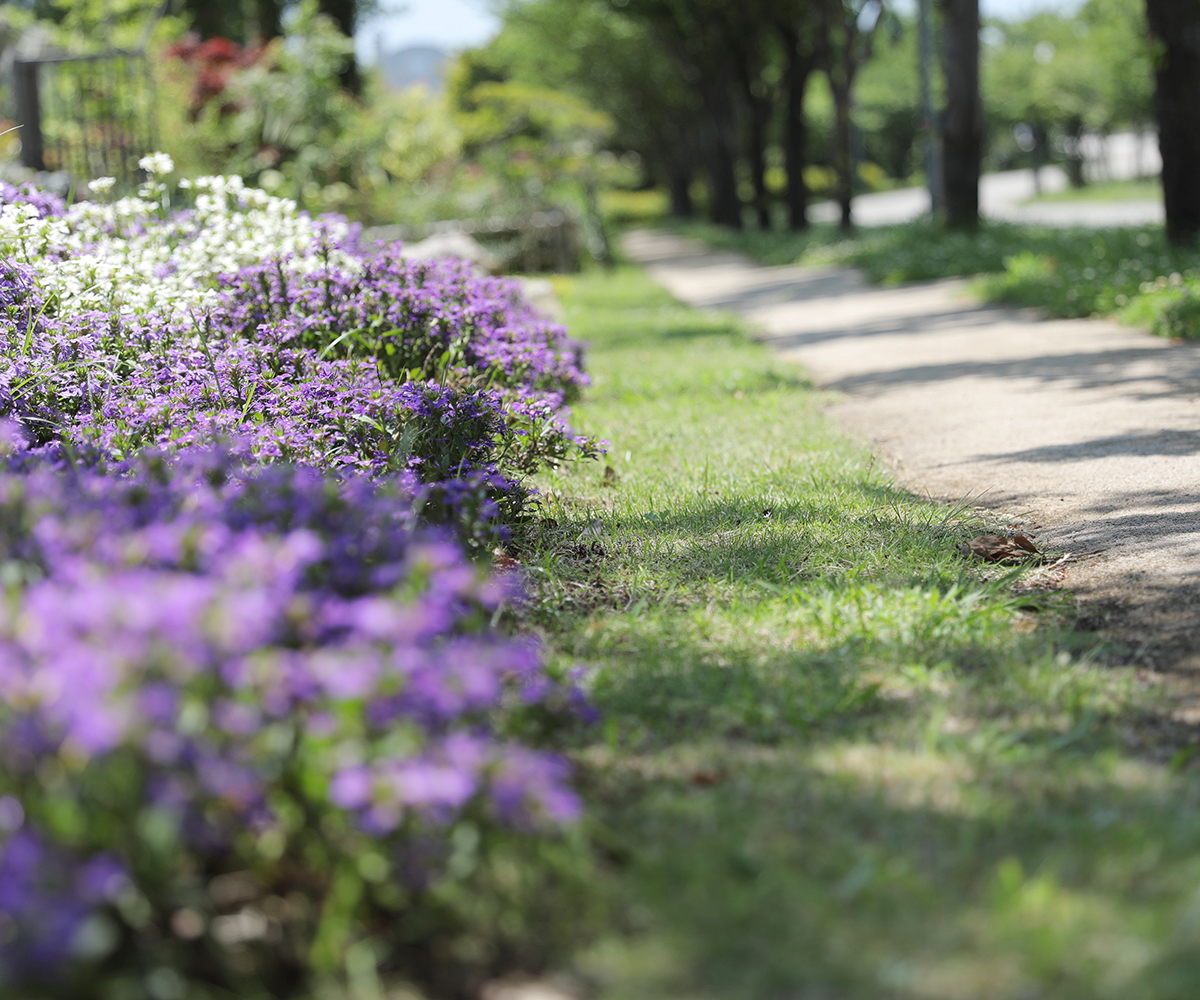 写真：Plantation